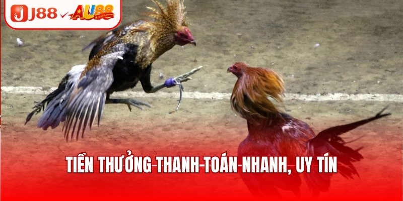 Tiền thưởng thanh toán nhanh, uy tín